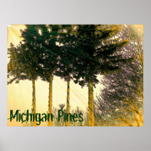 Michigan Pines Poster