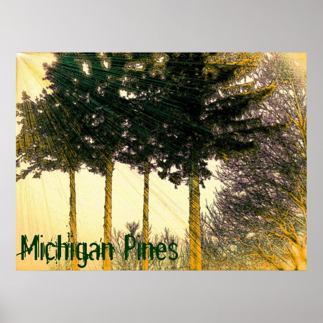 Michigan Pines Poster (Frente)