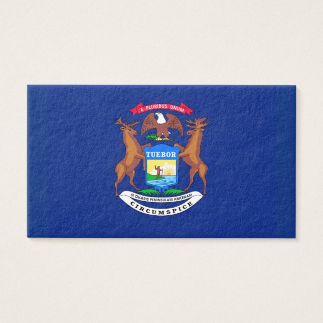 Michigan State Flag Design (Frente)