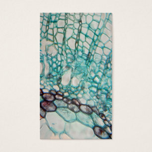 micrografia das pilhas da planta