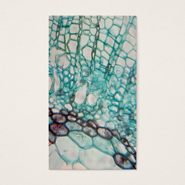 micrografia de células vegetais (Frente)