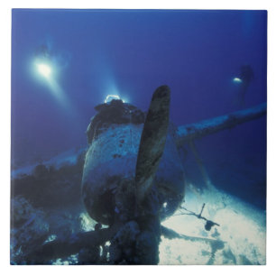 Micronésia, Palau, Patrimônio Mundial. Divers