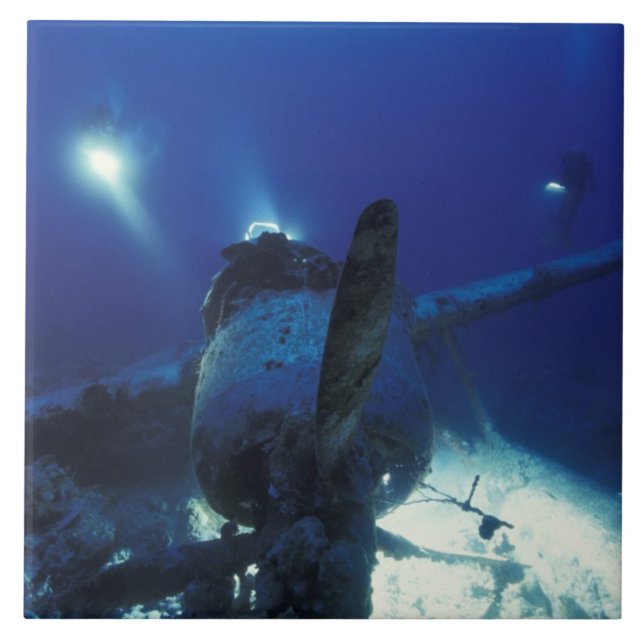Micronésia, Palau, Patrimônio Mundial. Divers (Frente)