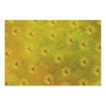 Mídia mista sunshine