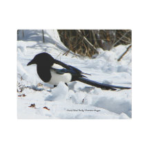 Mídia Rochosa Negro Billed