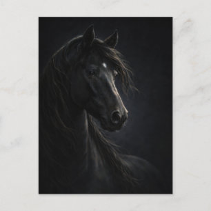 Midnight Sky   Arte de Cavalo   Cartão Postal