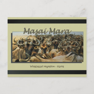 Migração de gnu/gnest, cartões postais safari