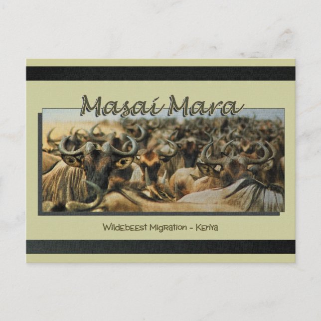 Migração de gnu/gnest, cartões postais safari (Frente)