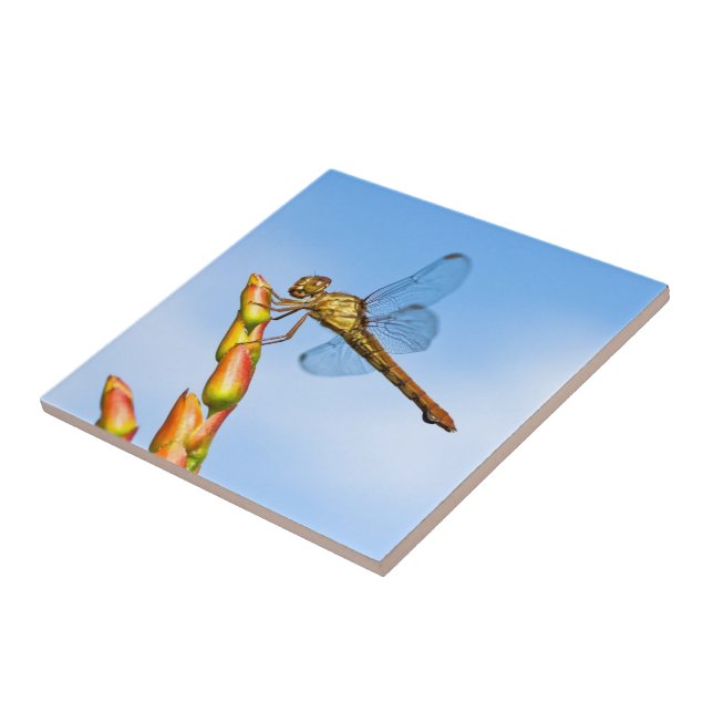 milhas atrás de mim (Lateral)