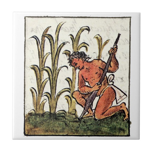 Milho De Cultura De Aztec (Frente)