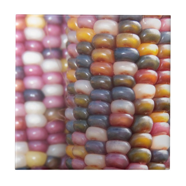 Milho indiano (Frente)