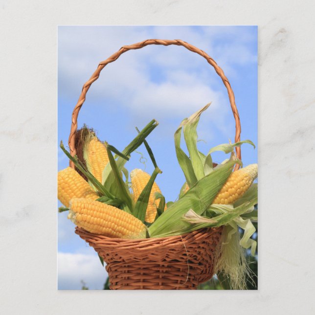 Milho no Cartão Postal do Cob (Frente)