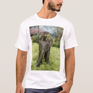 mim camisa dos elefantes do coração