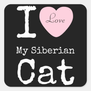 Mim coração minha etiqueta Siberian do gato