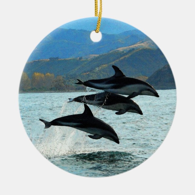 Mim enfeites de natal de Delfini (Frente)