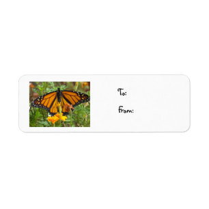 Minha etiqueta do Borboleta-Natal do monarca
