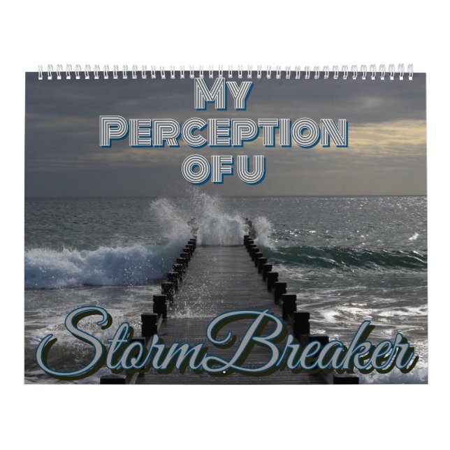 Minha percepção do calendário u (Capa)