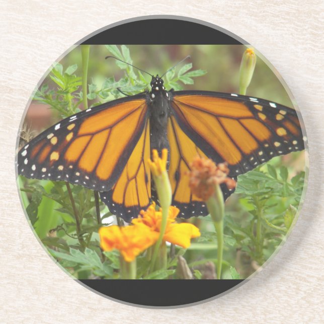 Minha porta copos de borboleta Monarch (Frente)
