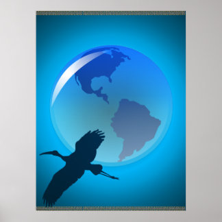 Minha Poster da Terra
