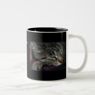 Minhas crianças todas têm as patas! Caneca do gato