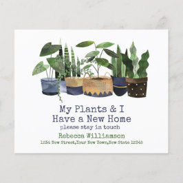 Minhas Plantas & Eu tenho novo endereço | Mudança