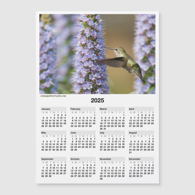 Mini Calendário Magnético 2025 Hummingbird 5x7" (Frente)