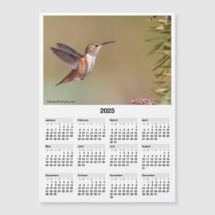 Mini Calendário Magnético 2025 Hummingbird 5x7"