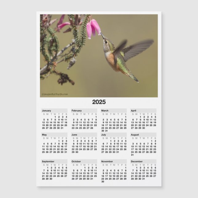 Mini Calendário Magnético 2025 Hummingbird 5x7" (Frente)