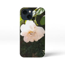 Mini Capas IPhone 13