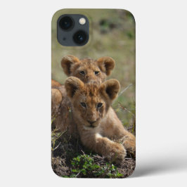 Mini caso do iPad Mini com leões africanos selvage