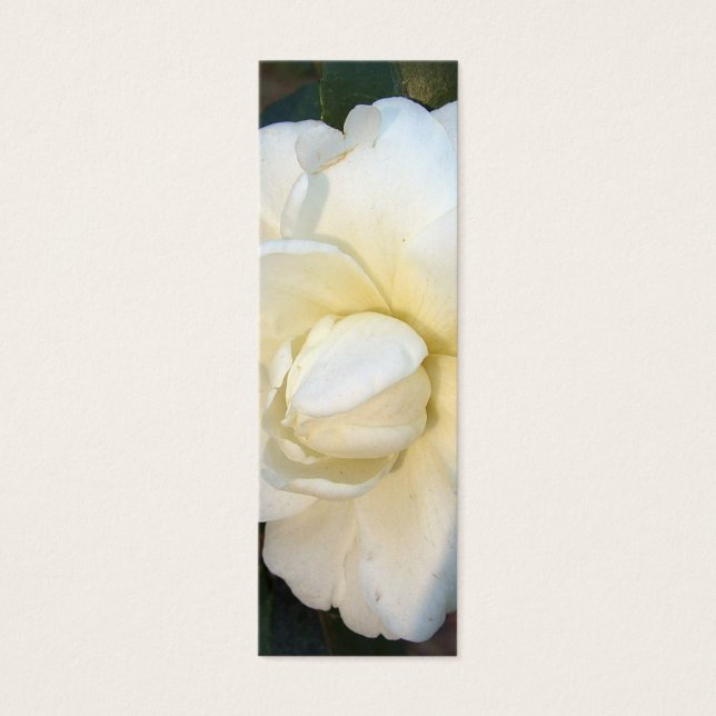 mini favorito de flores de camila branca (Frente)