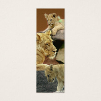 Mini marcador de Lioness e Cubs /