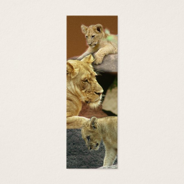 Mini marcador de Lioness e Cubs / (Frente)