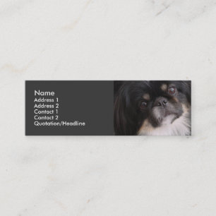Mini Modelo do cartão de visita - cão de Pekingnese