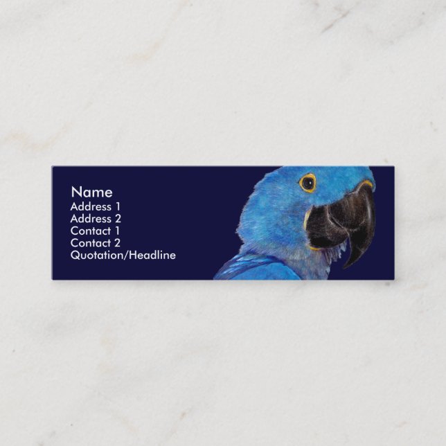 Mini Modelo do cartão de visita - Macaw do jacinto (Frente)