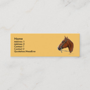 Mini Modelo magro do cartão de visita - cavalo