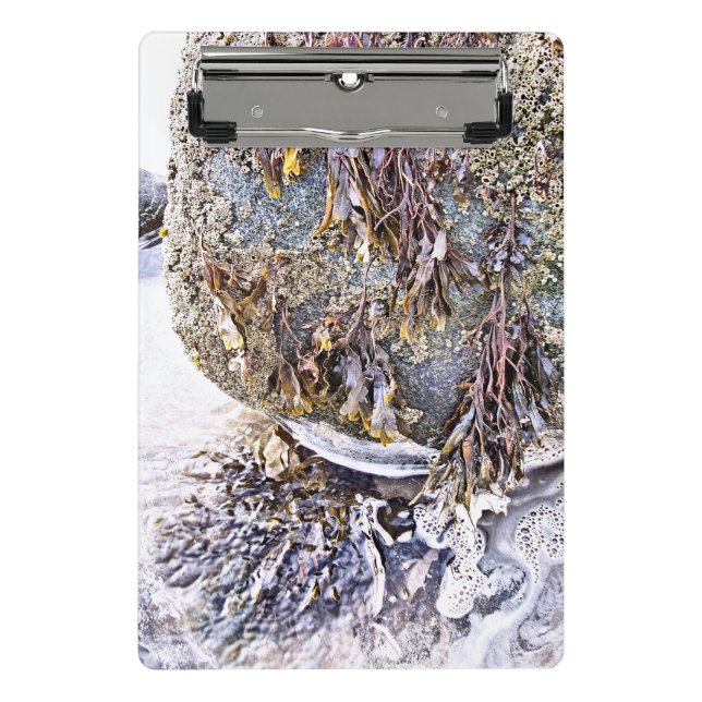 MINI PRANCHETA A PRAIA (Frente)