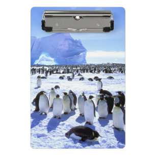 Mini Prancheta Antártida, Península Antártica, Mar de Weddell 5