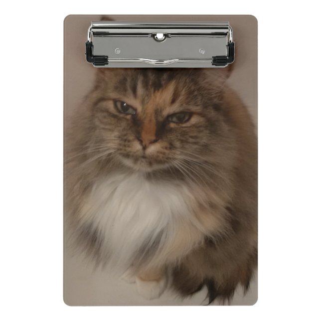 Mini Prancheta Área de Transferência Cat (Frente)