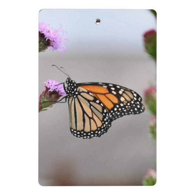 Mini Prancheta Área de Transferência Mini Monarch (Verso)