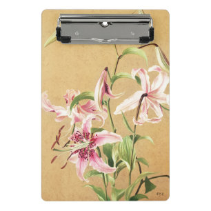Mini Prancheta Arte Botânica de Flor de Lírio Oriental Rosa Vinta