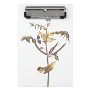 Mini Prancheta Audubon Children's Warbler Songbird
