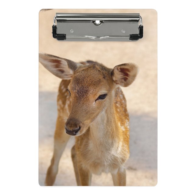 Mini Prancheta Baby Deer (Frente)
