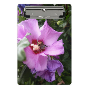 Mini Prancheta Bumblebee na Flor de Hibiscus