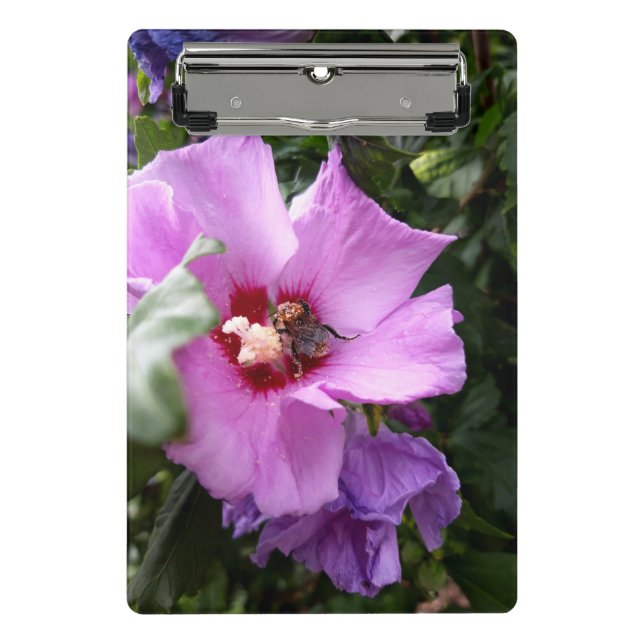 Mini Prancheta Bumblebee na Flor de Hibiscus (Frente)