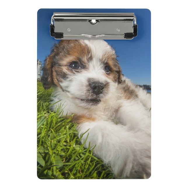 Mini Prancheta Cão de filhote de cachorro bonito (Shitzu) (Frente)