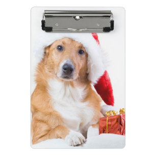 Mini Prancheta Cão do Natal com antler e os presentes coloridos