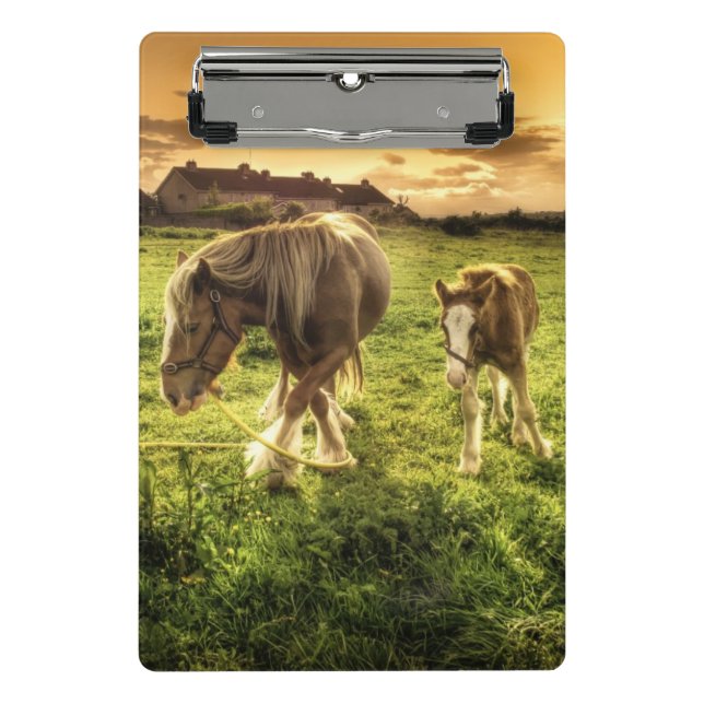 Mini Prancheta Cavalo da mãe & do potro (Frente)