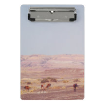 Cavalos do Deserto Americano P8670