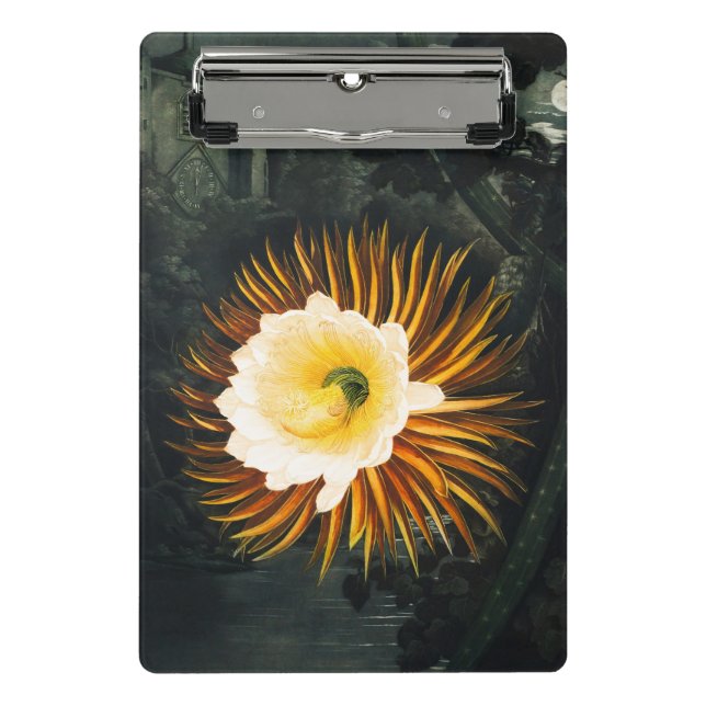 Mini Prancheta Cereus Noturno Antigo Florindo Arte Gótico (Frente)